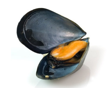 COZZE